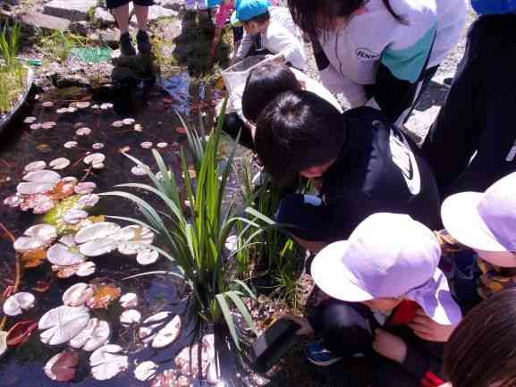 DSCN1247