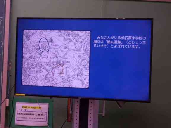 DSCN3009