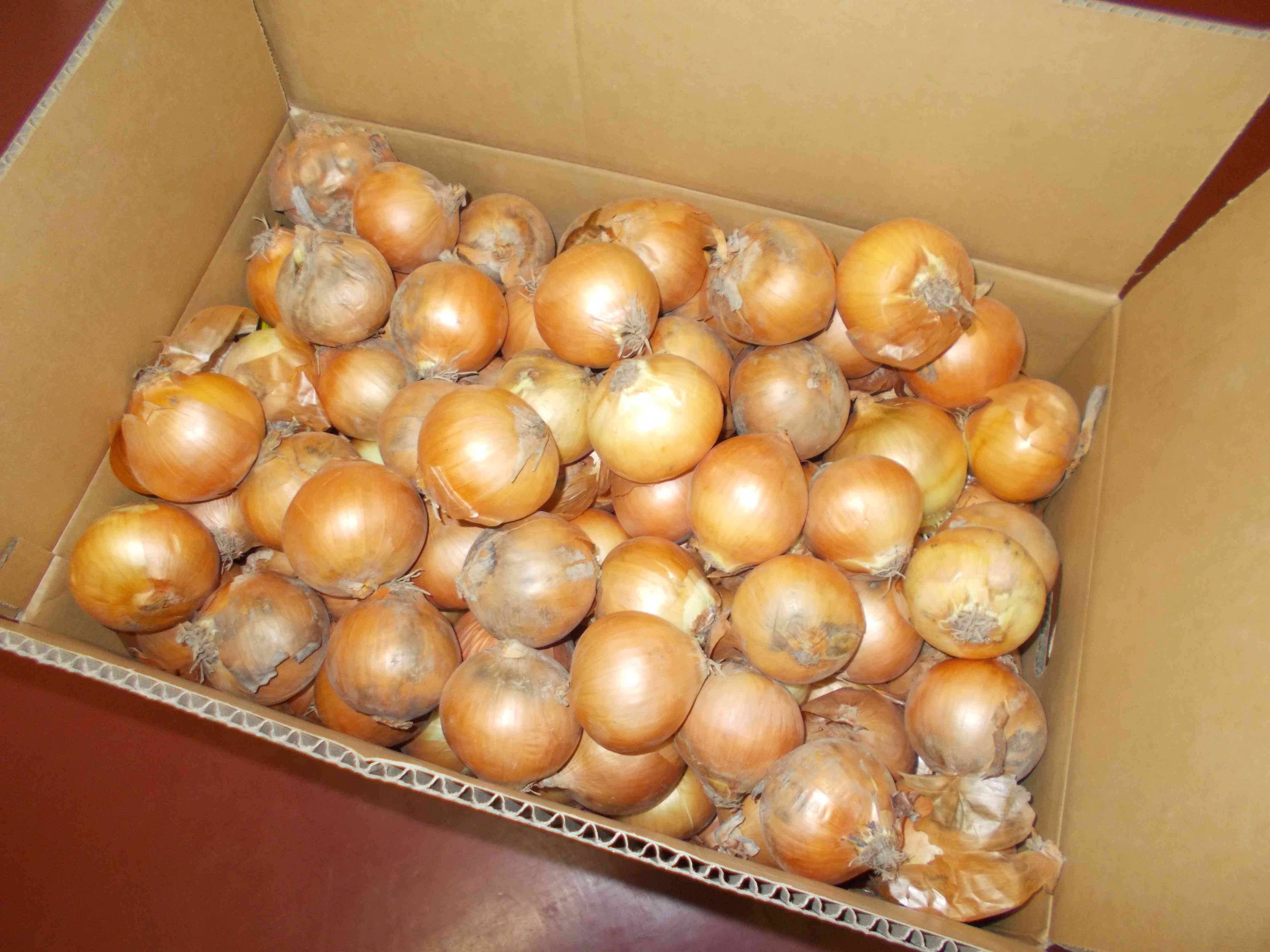 ☆☆4.17 HPに載せてください