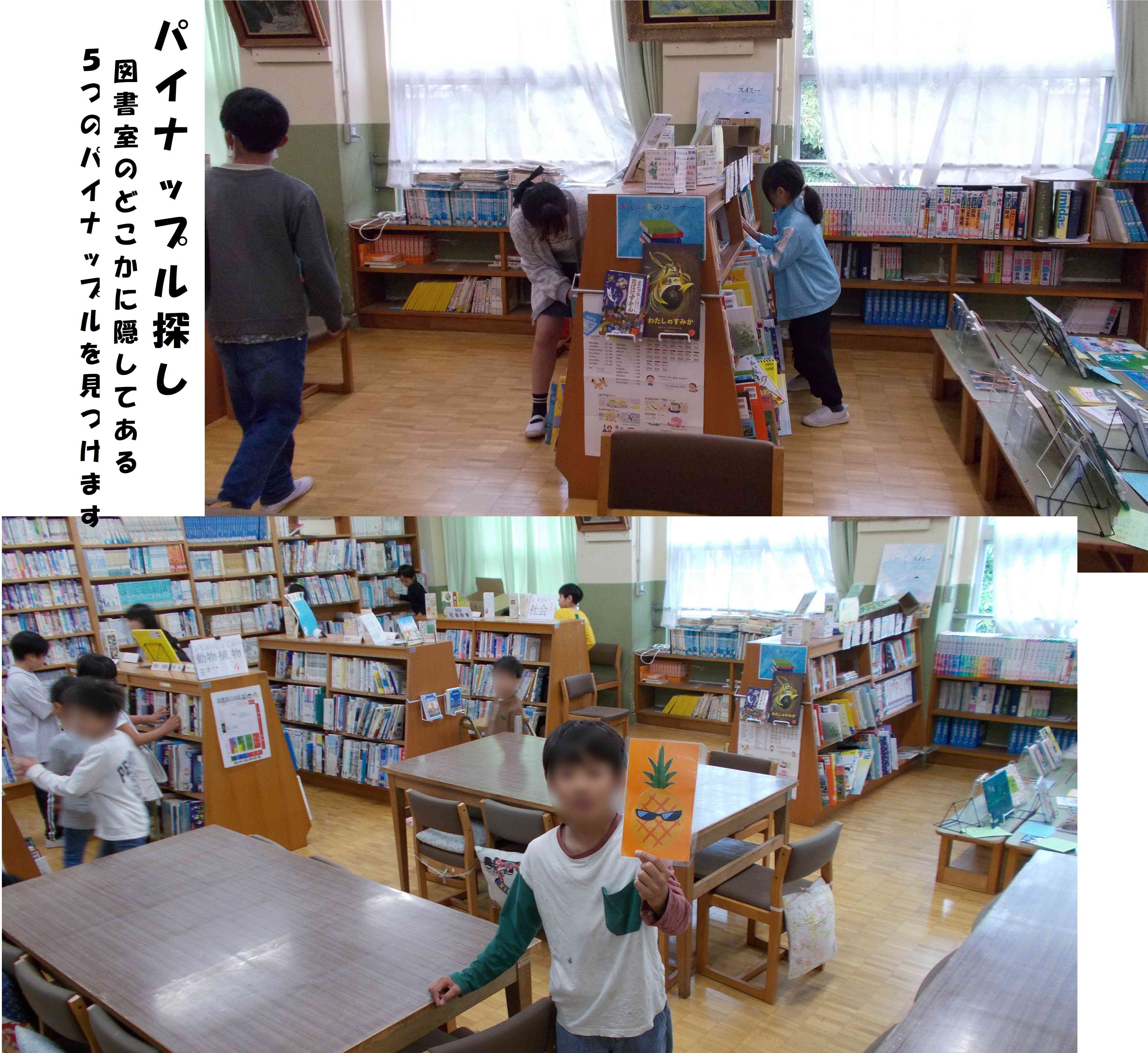 パイナップル探し