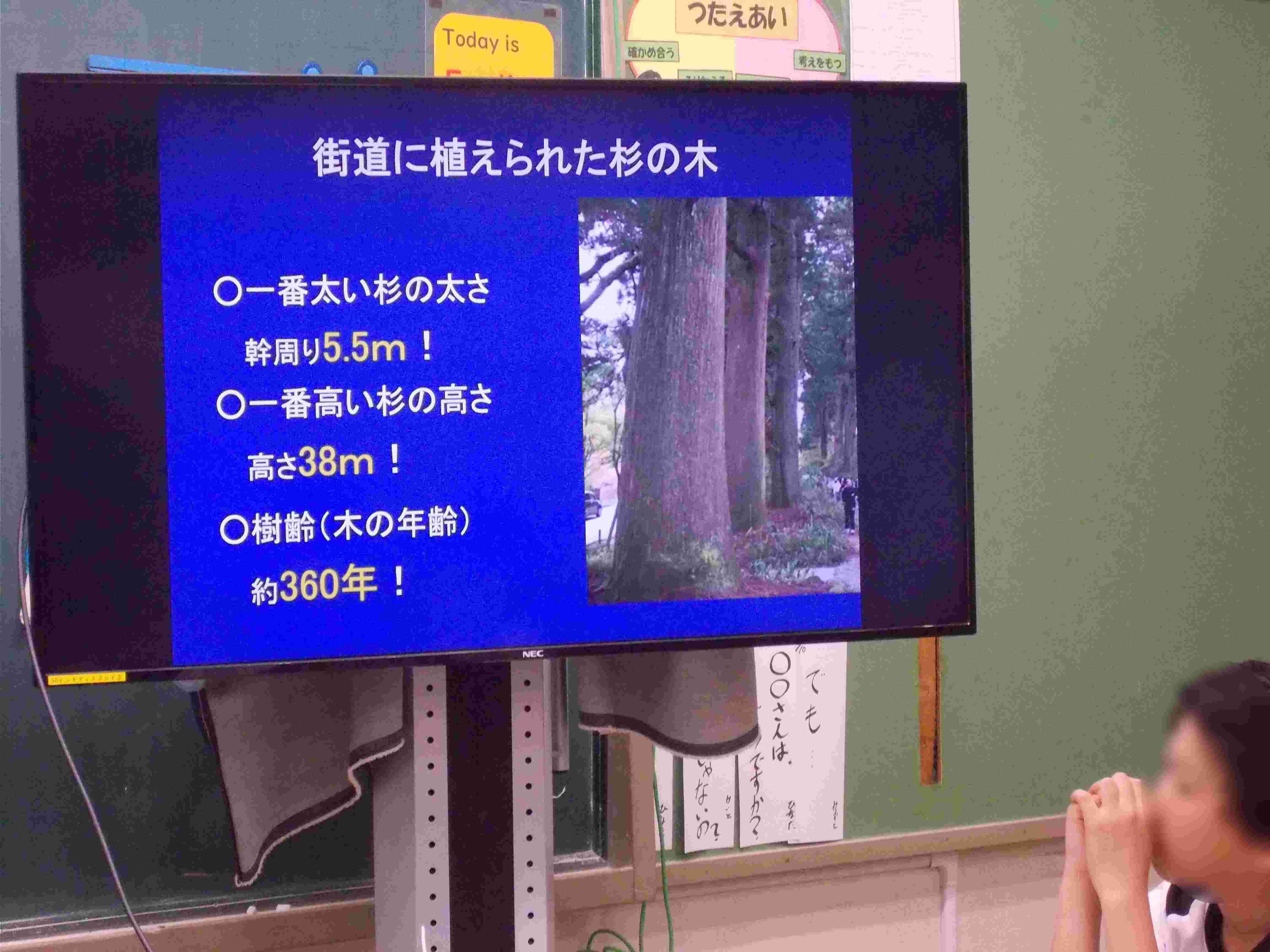 DSCN7969