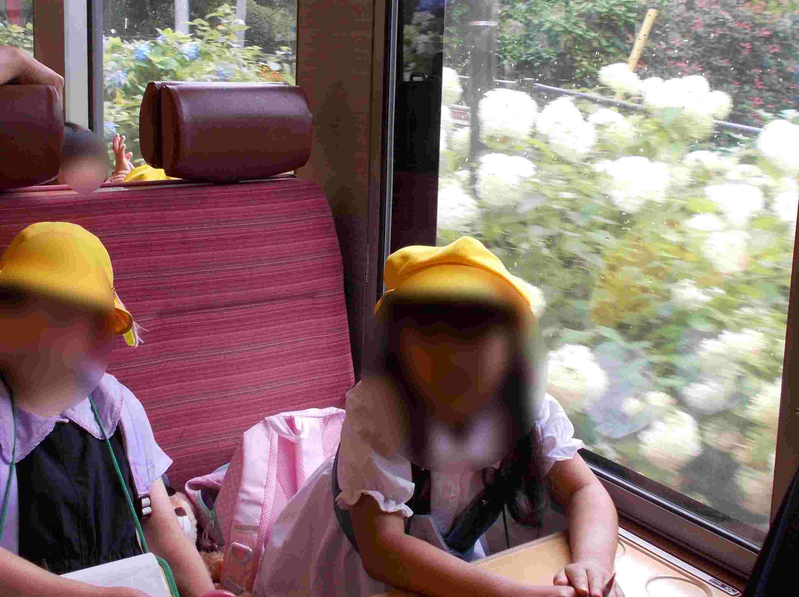 DSCN8260